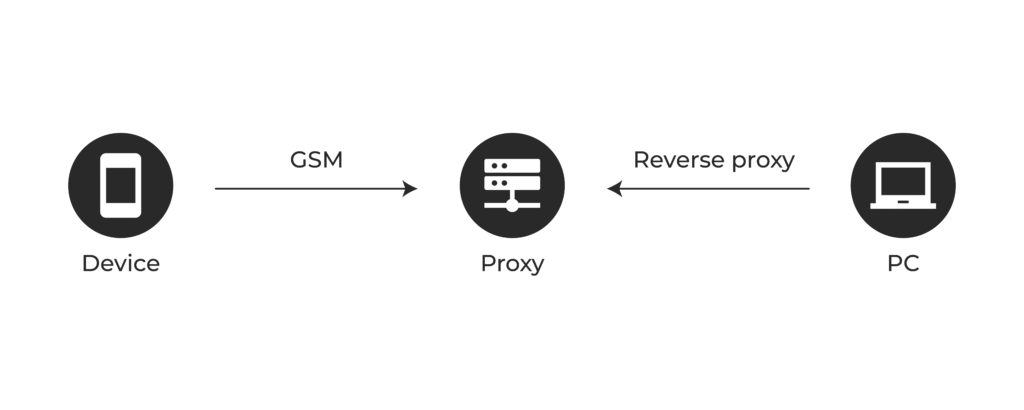 Local testing of IoT device
